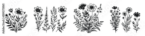 Hand drawn sketch wildflowers set. Vector illustration of medical herbs and flowers, isolated background