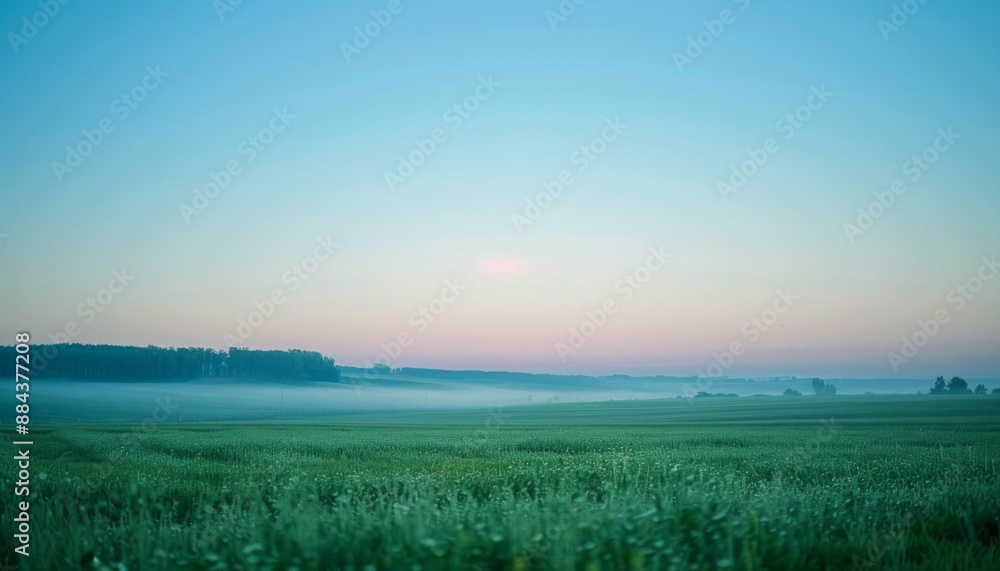 Obraz premium A serene sunrise over a lush field under a pristine blue sky Soft hues of morning light paint