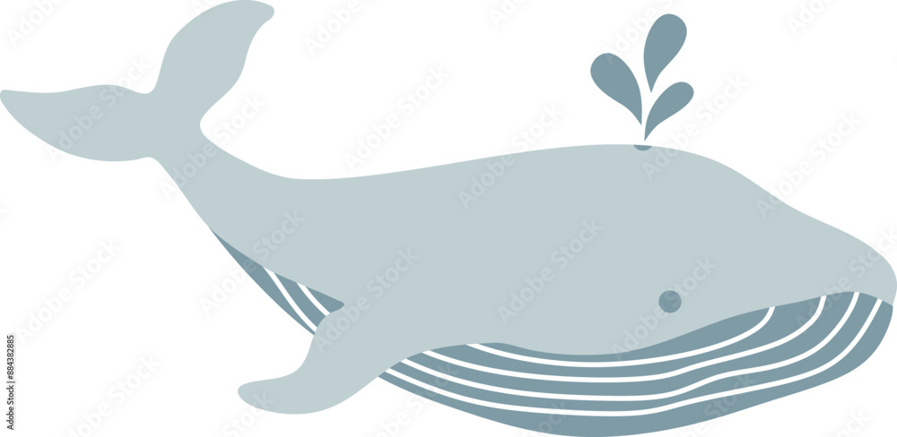 Whale Vector Illustration Whale Vector Illustration