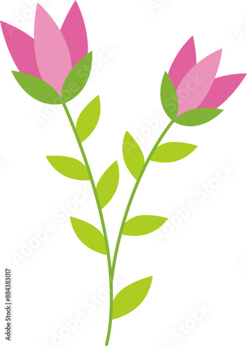 Flowers Illustration