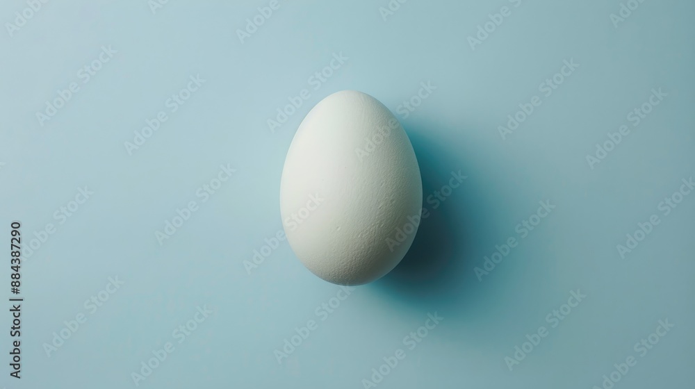 egg on a pale blue backdrop egg on a pale blue backdrop