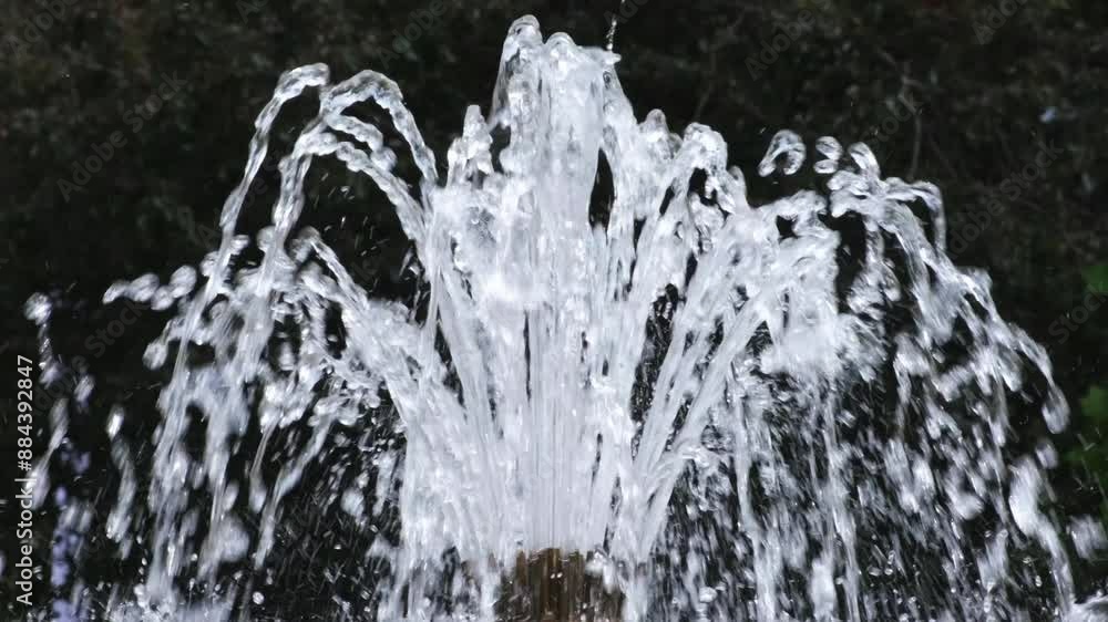 Clear and fresh water against dark green background. Slow motion close-up of a traditional fountain with bushes in the background. Beautiful translucent flowing water. Hot summer weather concept. Clear and fresh water against dark green background. Slow motion close-up of a traditional fountain with bushes in the background. Beautiful translucent flowing water. Hot summer weather concept.