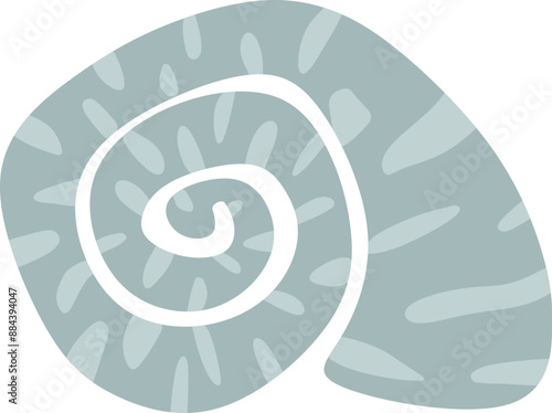 Seashells Illustration 