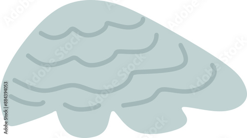 Seashells Illustration 