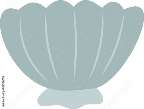Seashells Illustration 