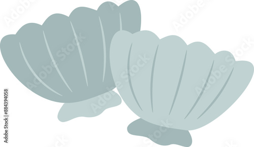 Seashells Illustration 