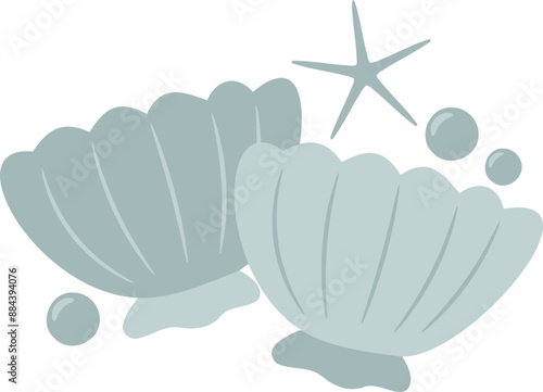 Seashells Illustration 