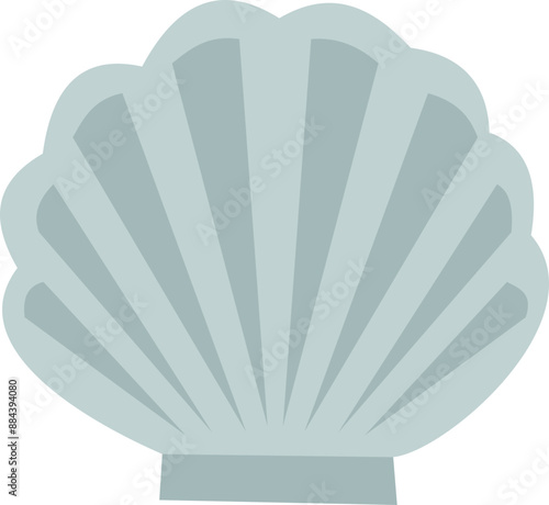 Seashells Illustration 