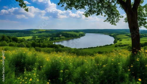 Sun-drenched River Paradise