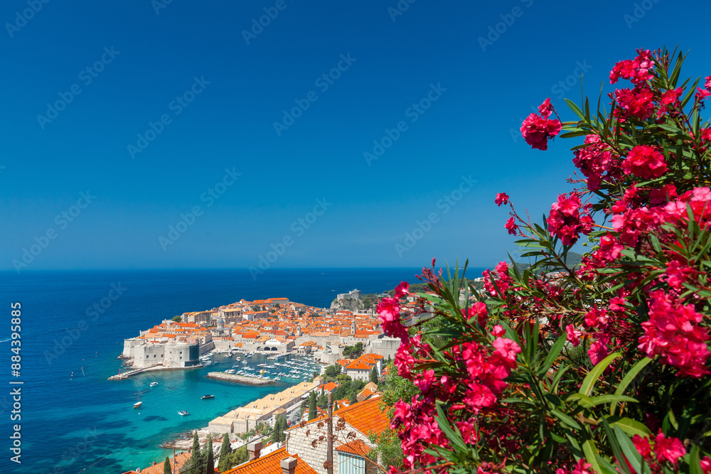 Dubrovnik historical harbor and old town from above. Top tourist destination in Croatia country, Dalmatia region