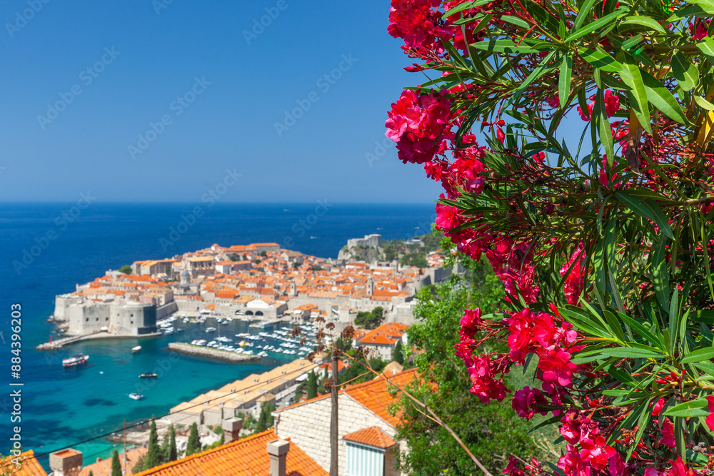 Dubrovnik historical harbor and old town from above. Top tourist destination in Croatia country, Dalmatia region