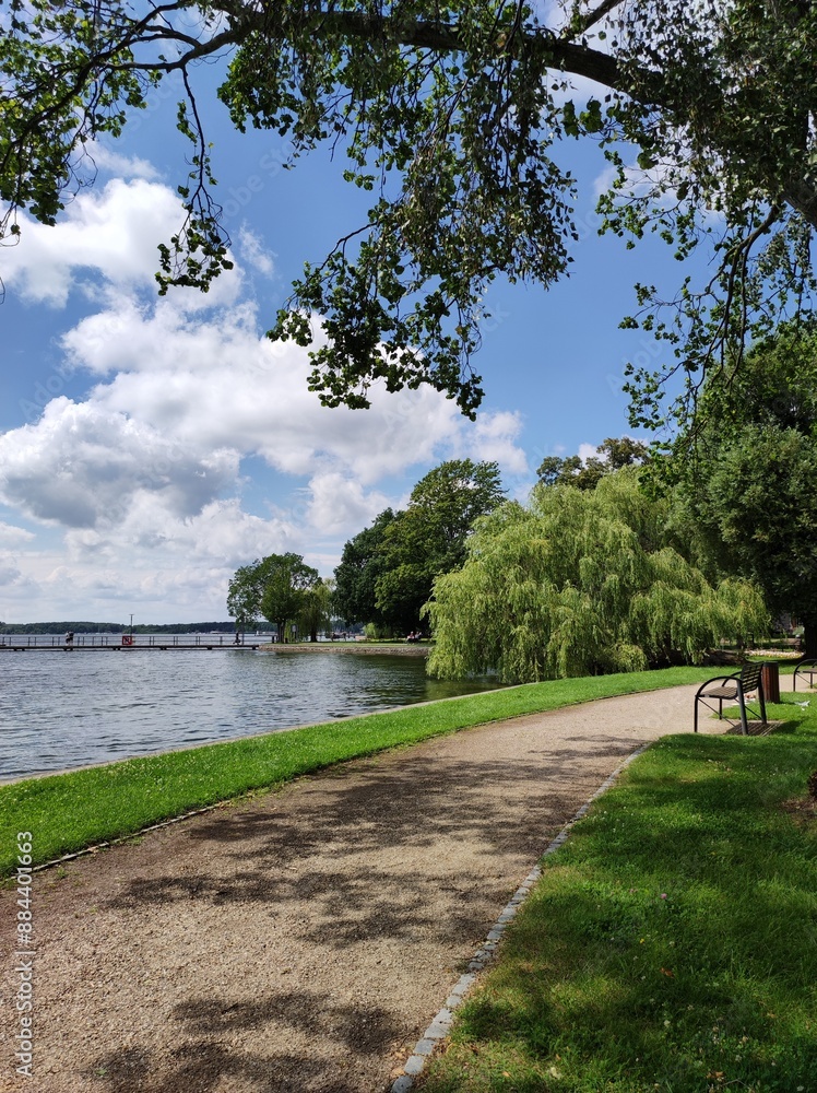 Fototapeta premium path in the park