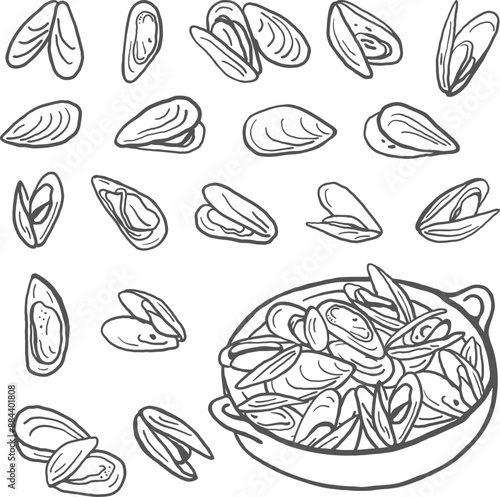Mussels set isolated on white background. Sea food simple hand drawn illustration