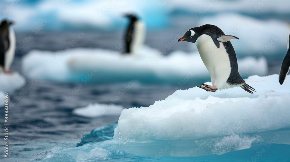 Fototapeta premium Penguin Jumping on Iceberg in Antarctica