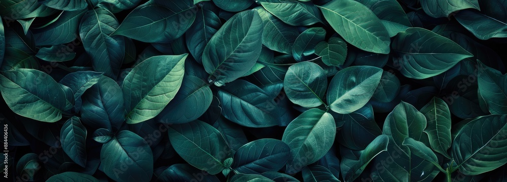 Closeup of Lush Green Leaves Closeup of Lush Green Leaves