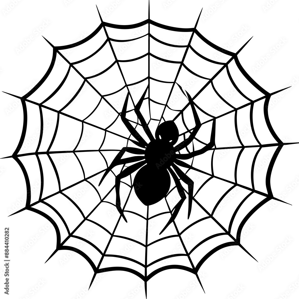 Obraz premium spider, web, halloween, insect, vector, illustration