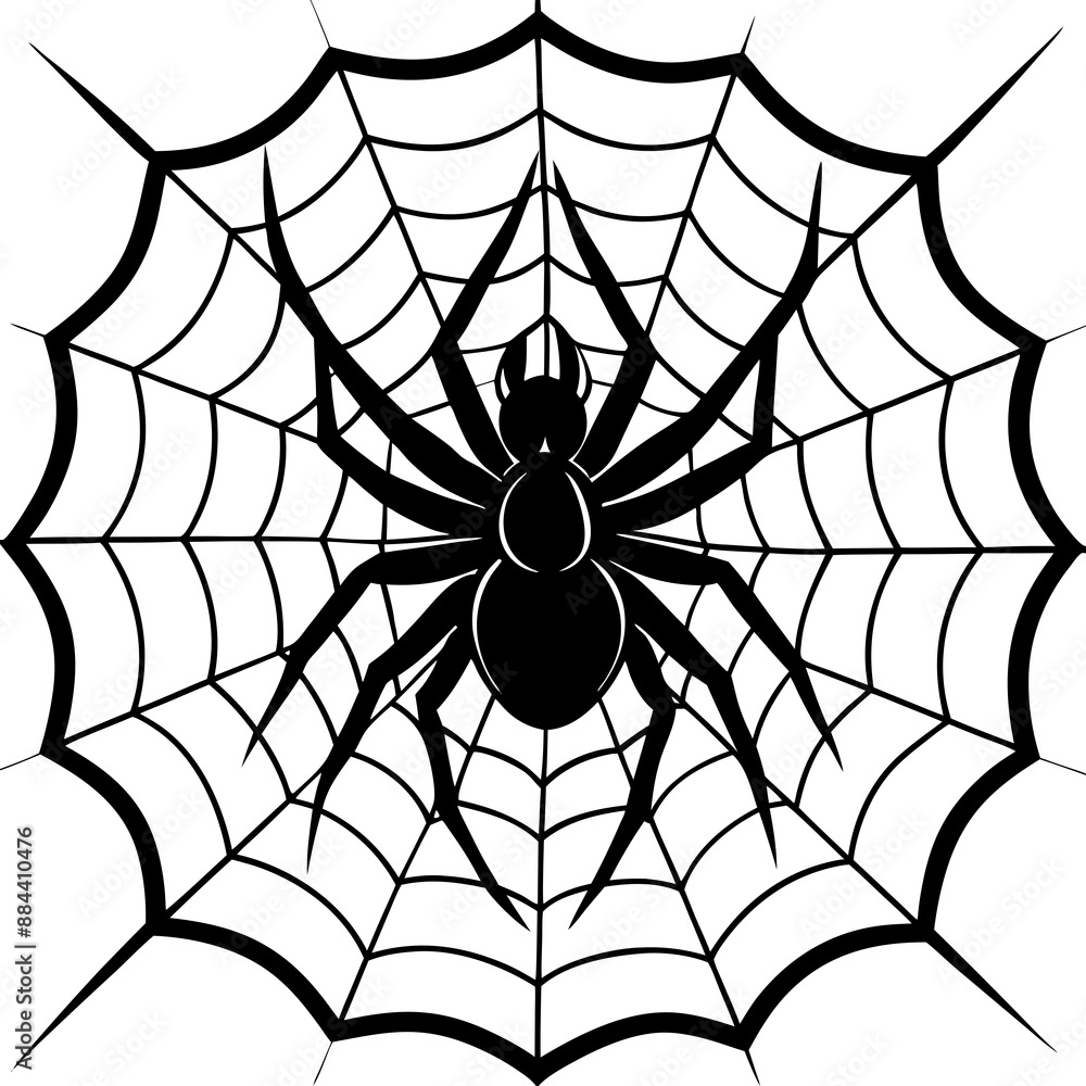 Fototapeta premium spider, web, halloween, insect, vector, illustration