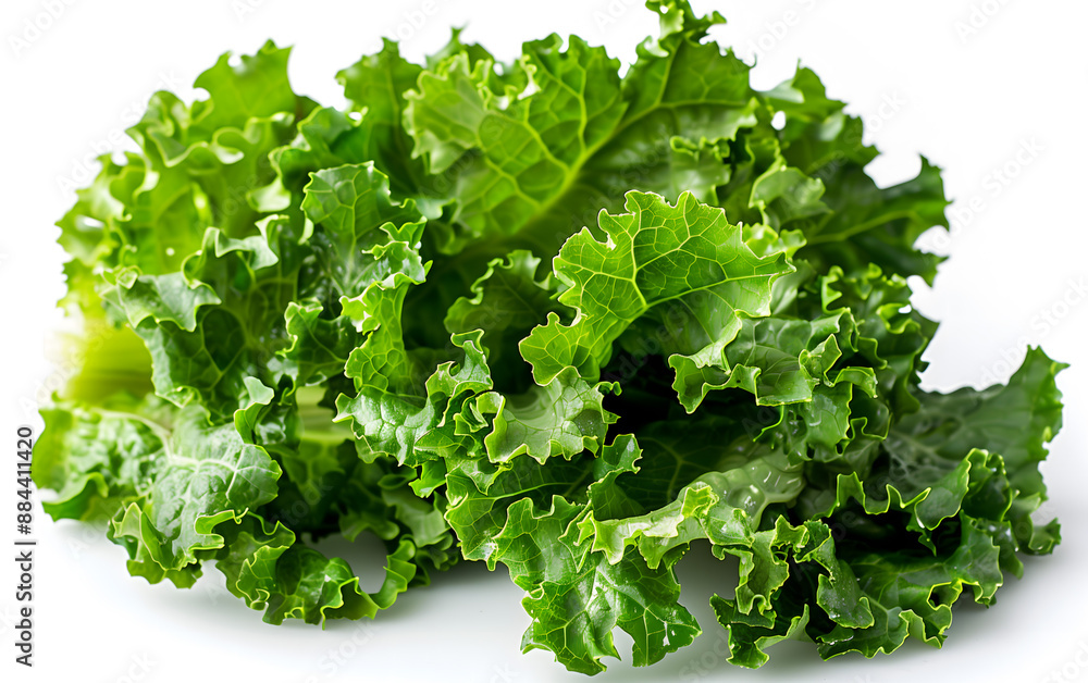 Fresh Green Lettuce Leaves Isolated on White Background Fresh Green Lettuce Leaves Isolated on White Background