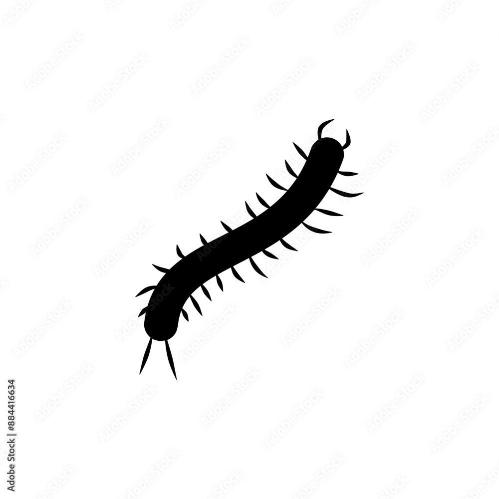 Obraz premium Centipade silhouette