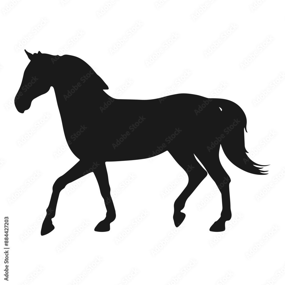 silhouette of a horse silhouette of a horse