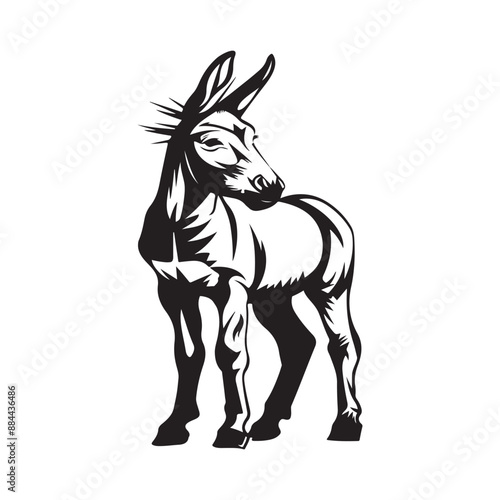 Donkey Vector Images. Black and white Donkey image isolated on white background