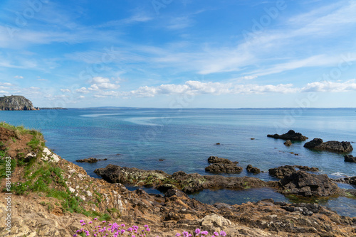 Rochers ornés de fleurs printanières roses, avec la mer d'Iroise scintillant sous un ciel bleu et parsemé de nuages blancs, sur la presqu'île de Crozon en Bretagne.