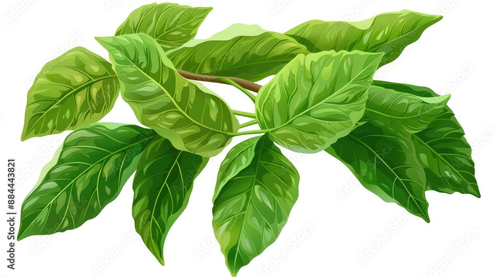 A vibrant cartoon illustration of bergamot green leaves perfect for web design stands out against a clean white background A vibrant cartoon illustration of bergamot green leaves perfect for web design stands out against a clean white background