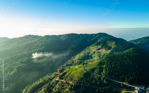 aerial view of greeney tea farmland in Ilam, Nepal. photo