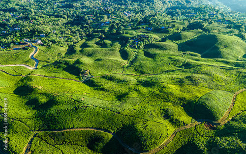 aerial view of greeney tea farmland in Ilam, Nepal. photo