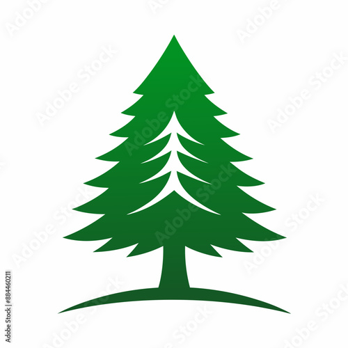Cedar tree vector logo illustration
