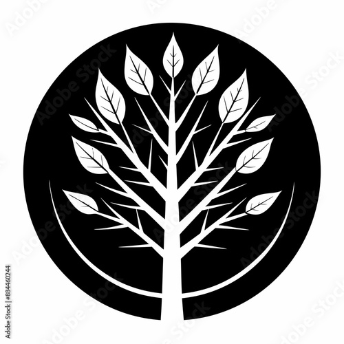 Cedar tree vector logo illustration