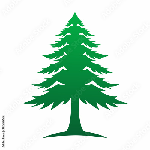 Cedar tree vector logo illustration