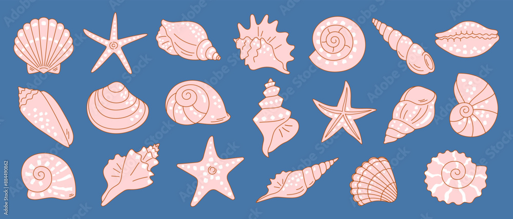 Vetor de Set of sea shells and starfish of various shapes, hand drawn ...