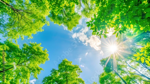 Ecology, Environment , Eco, Tree , Natural, Globe