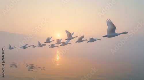 Flock of lesser snow geese flying in a perfect V-formation over a tranquil lake at dawn
