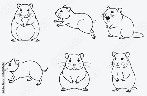 Hamster Line Art Set, Ultimate Collection of Adorable Hamster Illustrations