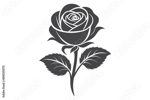 Flower silhouette. Vector illustration Set of decorative rose Flower with leave