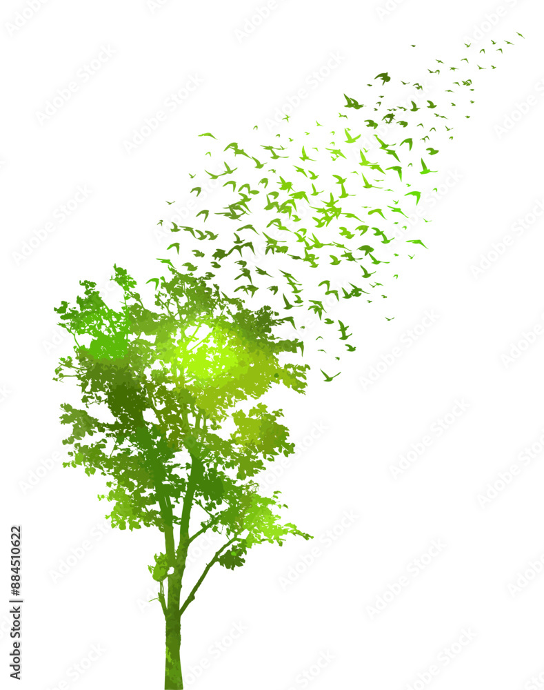 Fototapeta premium Tree green silhouette and flying birds. hand drawing. Not AI Vector