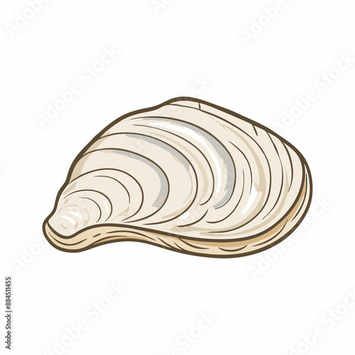 Vector Cartoon Closed White Mussel Illustration, isolated on white background (10)