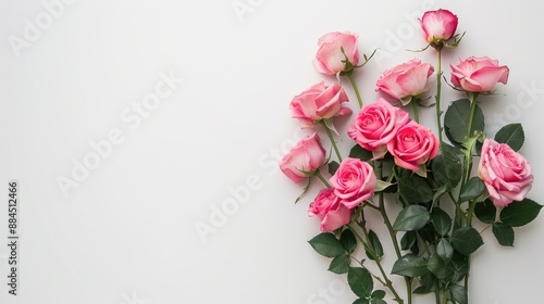 Pink rose flowers arrangement on white surface for various occasions like Valentine s Day Easter Birthdays Women s Day and Mother s Day Flat lay with copy space