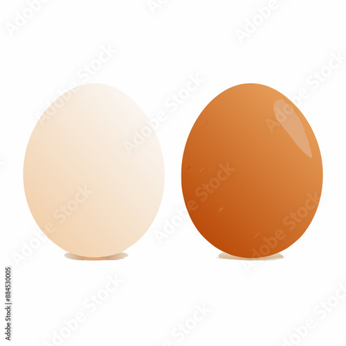 Vector Set of Two Chicken Eggs. Brown and White., isolated on white background (3)