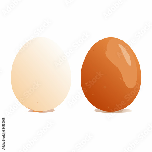 Vector Set of Two Chicken Eggs. Brown and White., isolated on white background (4)