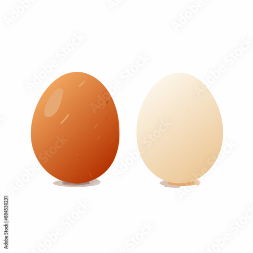 Vector Set of Two Chicken Eggs. Brown and White., isolated on white background (18)