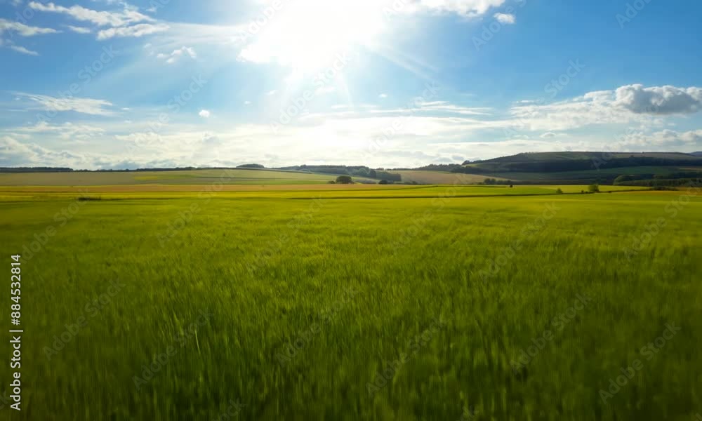 Sunny Day View of Rolling Green Fields in the Countryside Sunny Day View of Rolling Green Fields in the Countryside