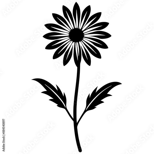 botanical image of a Matricaria chamomilla, black and white flowers, flower, vector, floral, nature, pattern, illustration