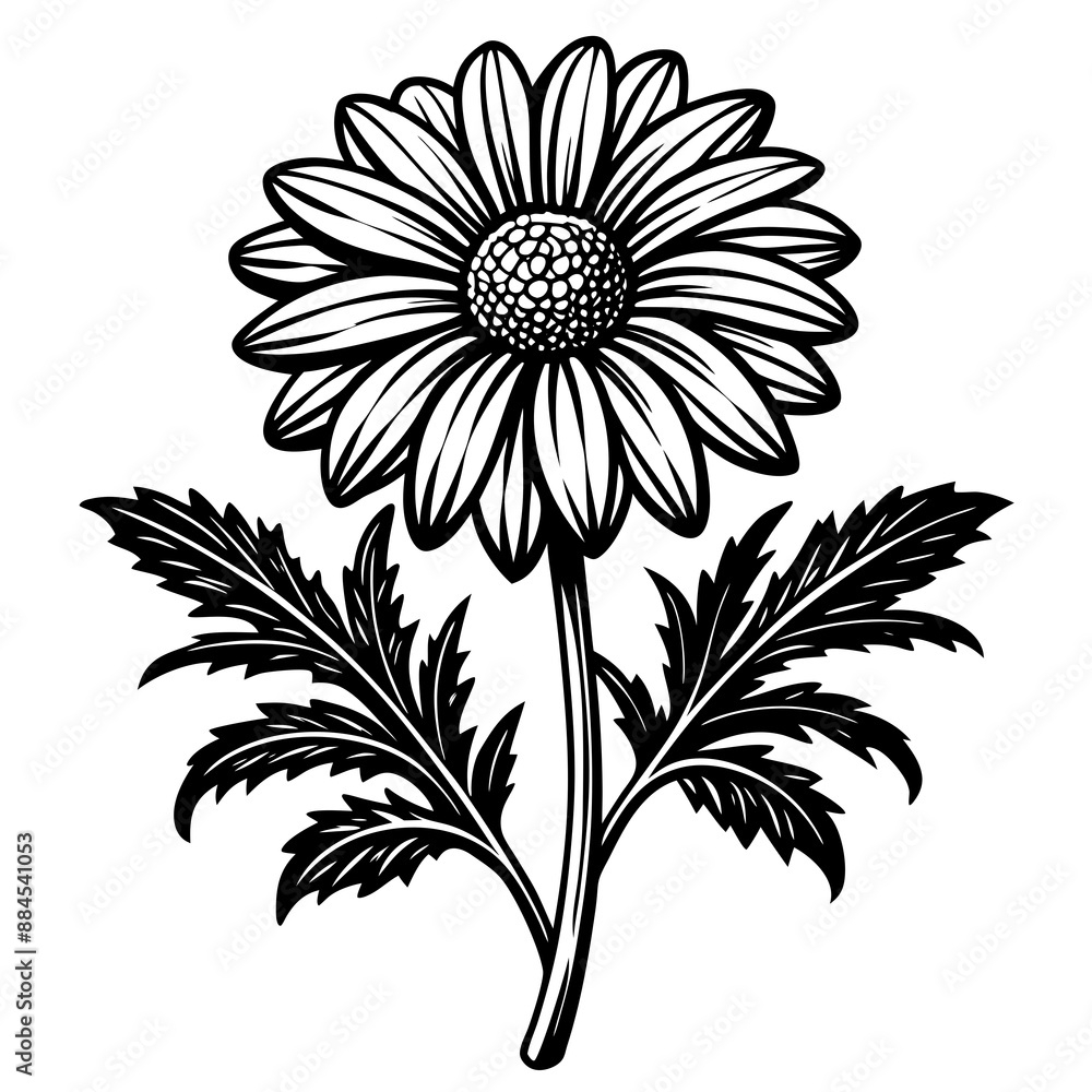 illustration of a flower,flower, floral, vector, illustration of a flower,flower, floral, vector,