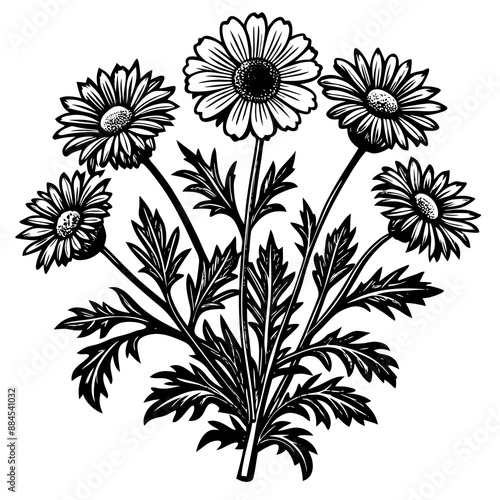 illustration of a flower,flower, floral, vector, 