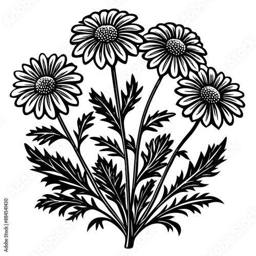 illustration of a flower,flower, floral, vector, 