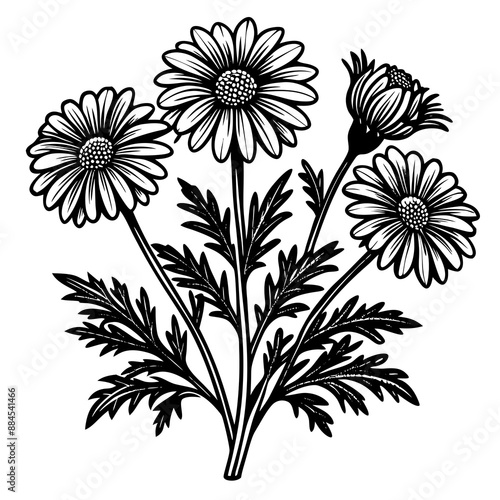 illustration of a flower,flower, floral, vector, 