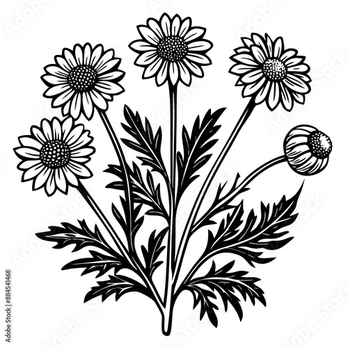 illustration of a flower,flower, floral, vector, 